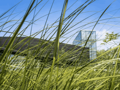 budova leed